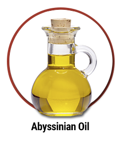 Abyssinian Oil